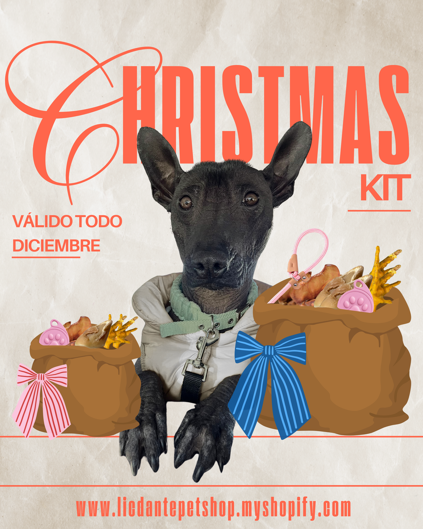 Kit Navideño