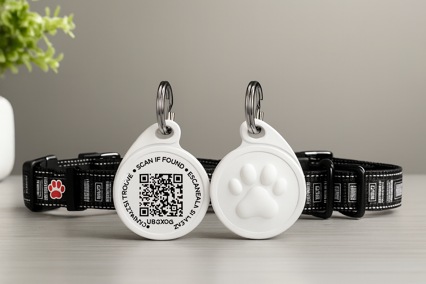 Placa de Identificación QR