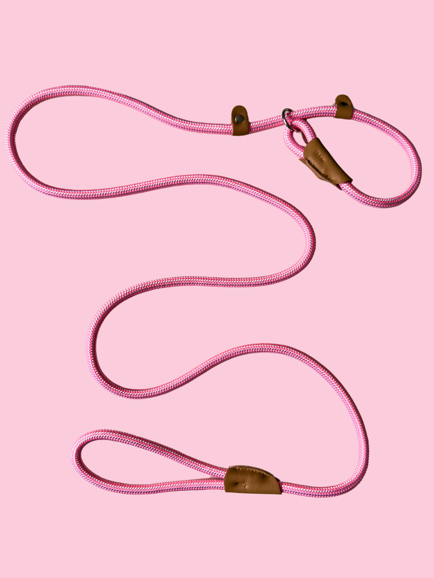 Correa de entrenamiento