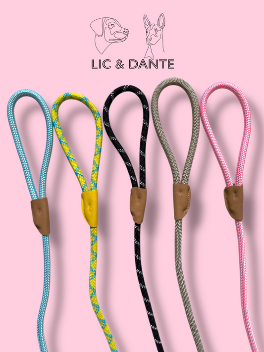 Correa de entrenamiento