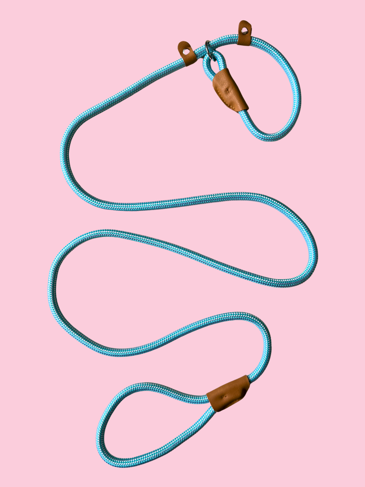 Correa de entrenamiento