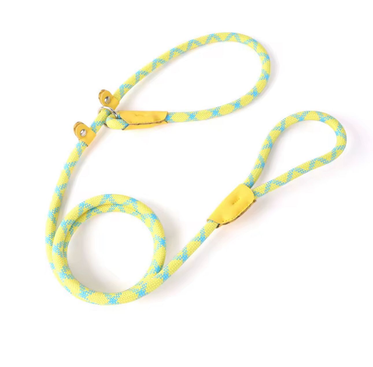 Correa de entrenamiento